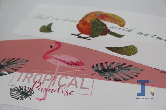 Digitaal afdrukken IML In vorm etiketten voor plastic mand Fruit Basket Big Size